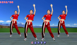 九九操视频,轻松入门的养生健身指南