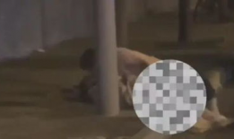 女子被杀视频,视频揭露惊人真相