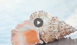 贝壳视频,探索房产新视角，解锁美好居住生活